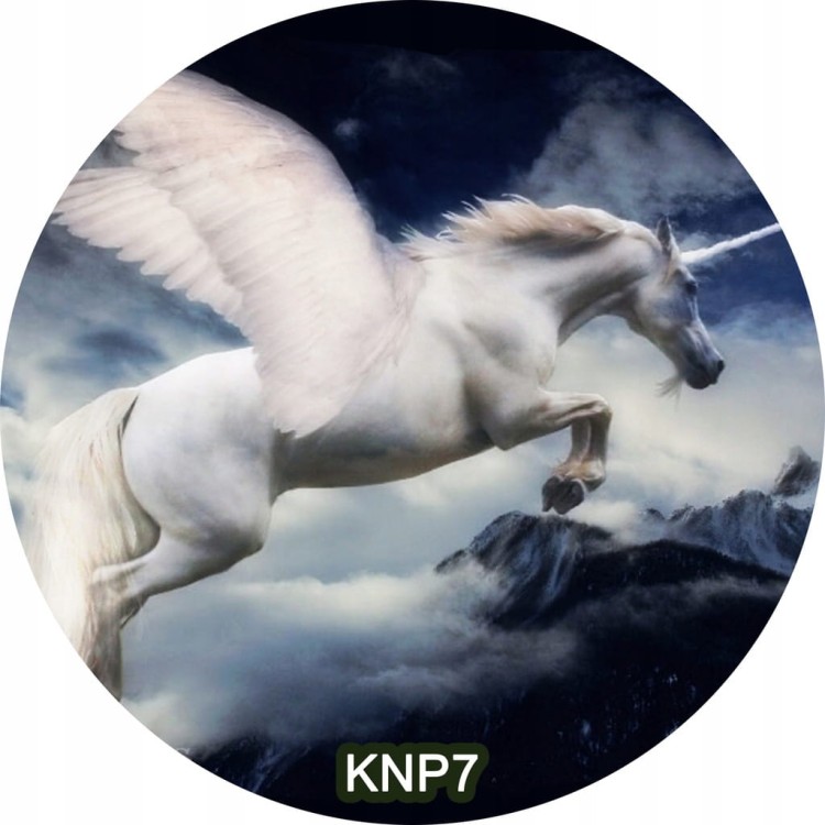 872e9cb2d34d87dac72ebb885c974c7d