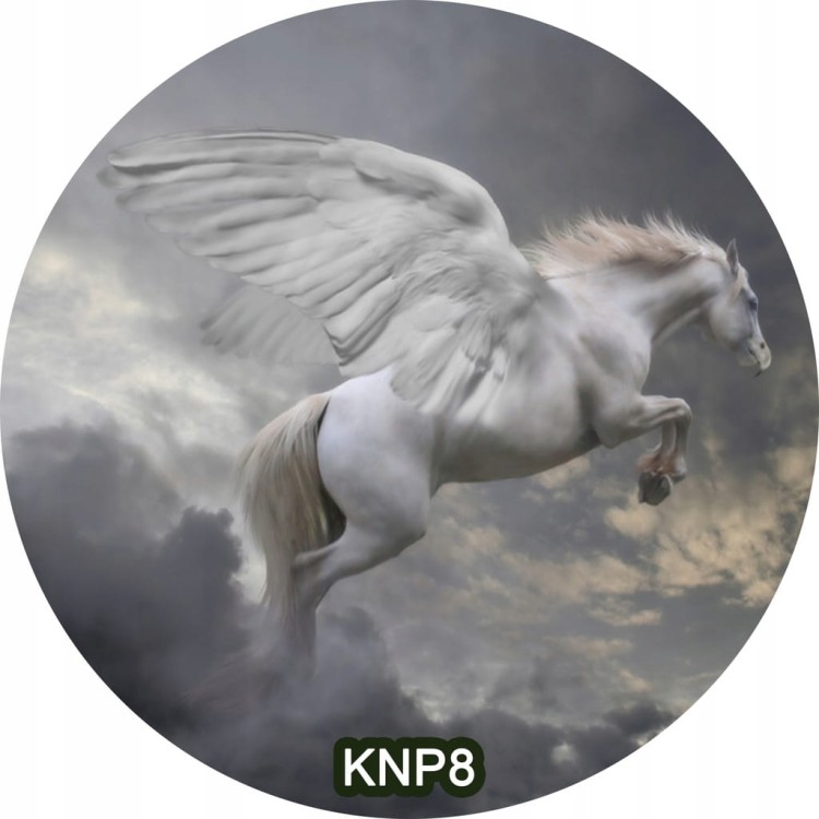 31f00e5644a13fe3188901e0e8ed86bd