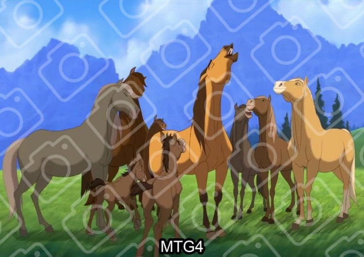 7c77e82708969377f2edb37fcb7e08df