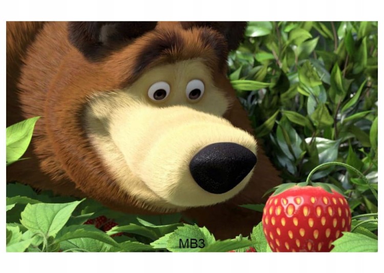 31bcd50f63be575f7b3e4e342294533b