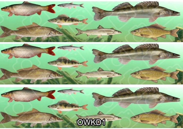 d83b6b8b0e0d1b891deed237fdd39d32