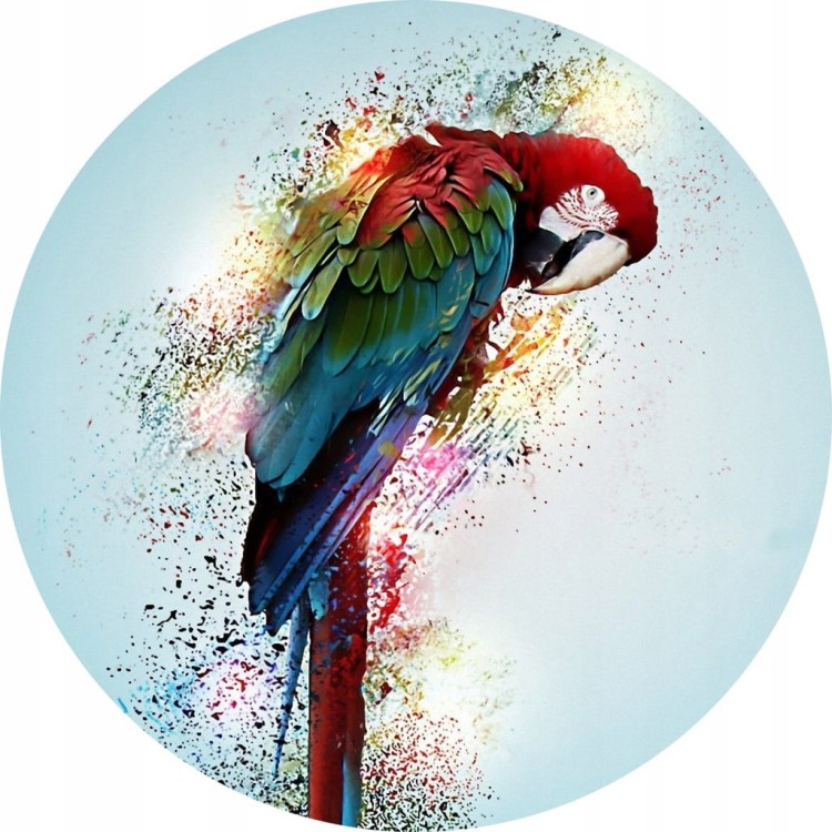 be91cece8d81e8599bbb59d056fe6fc5