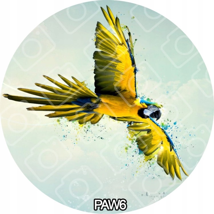 ccd150765c45aed82f5fbfe2a771454e