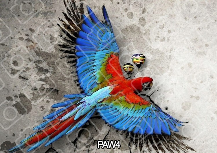 d0a3e42c6d871a703b9e9c9a059a0581