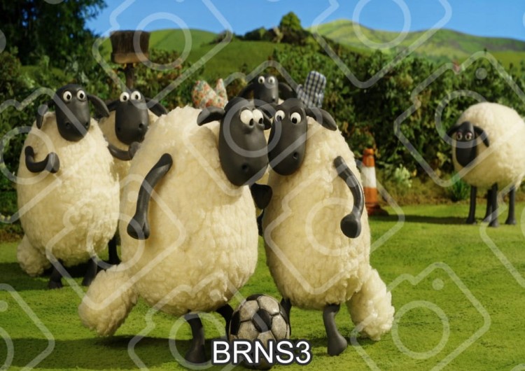 72531cfa4b20cfde4dffa2b0608fe52f