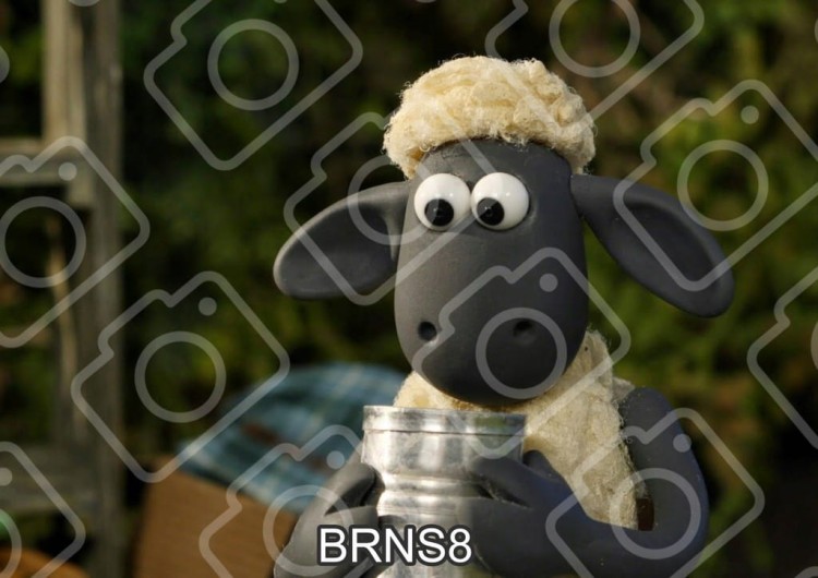 619637fb8d2f484675fb7e3d70419ec6