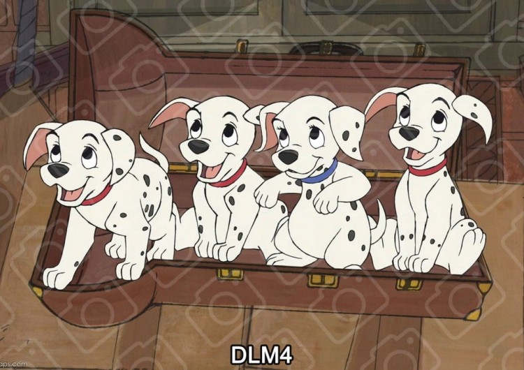 8a0d2e90300b686ccb4581207b4e9bf1