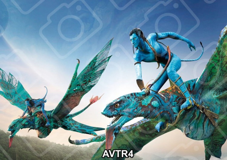 b6db21f7c6588cde94c4594cfb5f8fa6