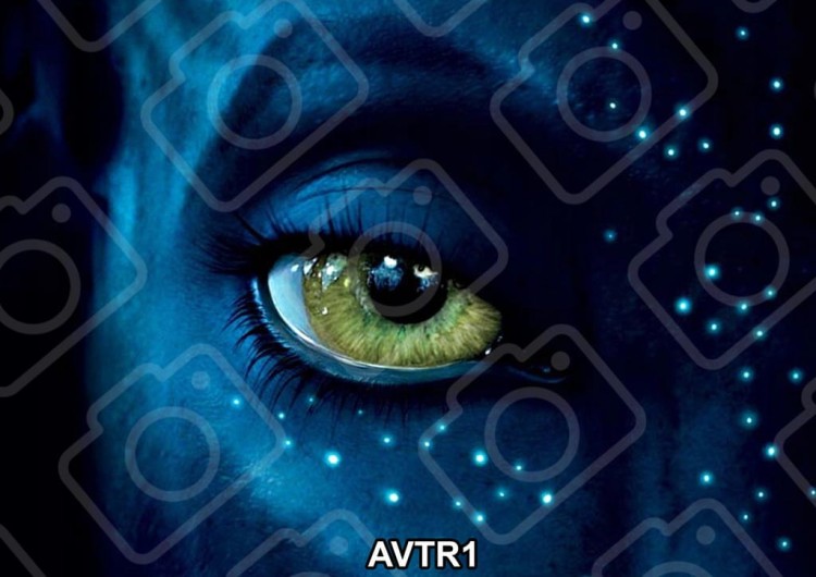 37a5cb7b71d15f31518ac3e787a63881