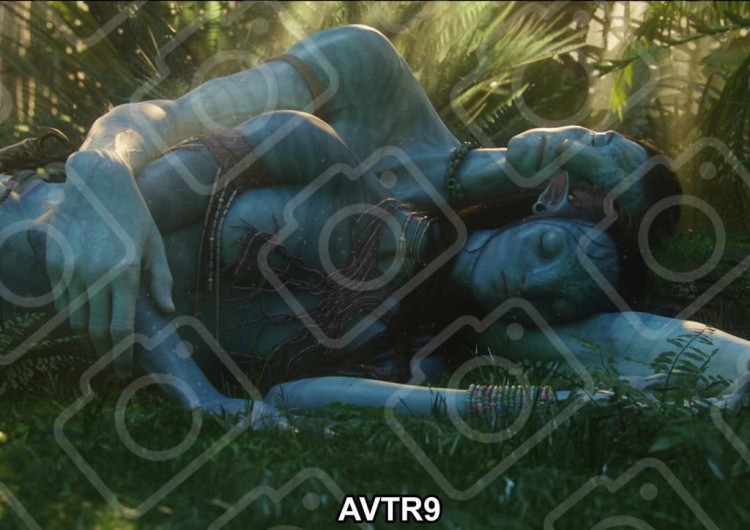 284caef52b28efb6d147c22cca7493b2