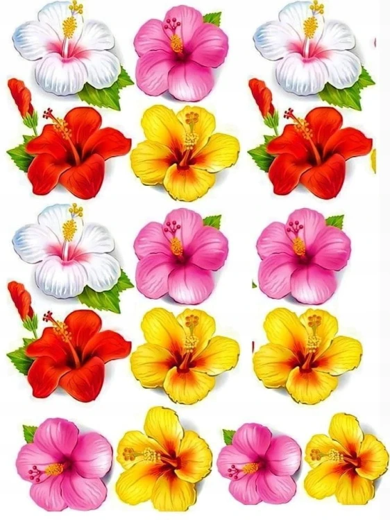 f94b2bded938363b4be1f29a794c1b6d