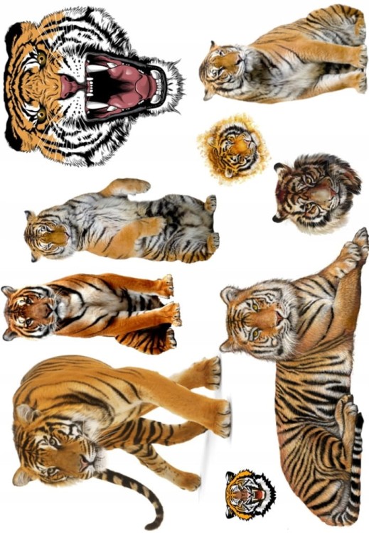 3c69b62fe44b3329b11580a3507bd17d