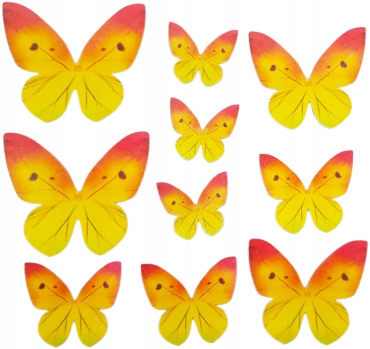 98bb0f012a9d6d3a50eec25c9c6fe80b