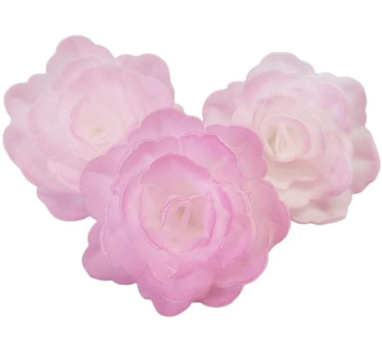 1f38ab426e31d035caabbc2f02bbcf92