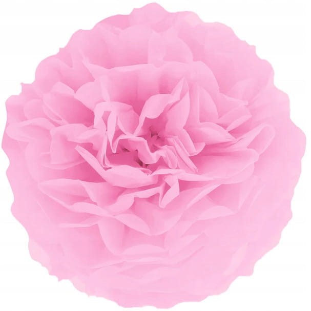 81e11c3154758131c94c96b1b238025b