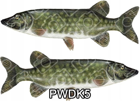 4b29e956bfb5ccd2265fd249f3261f7c