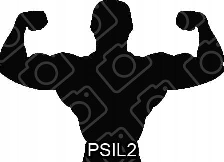 2912df6a56e04a044508e788cc964528
