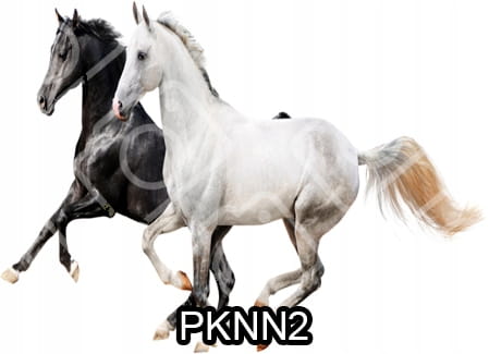 d20fa516471c4d49ce369f4a05bd51fc
