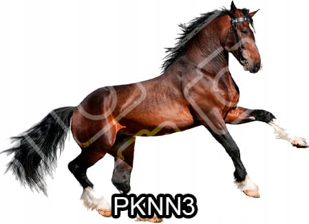 38bf55d6437bf29ae175ffbeeaa391e1