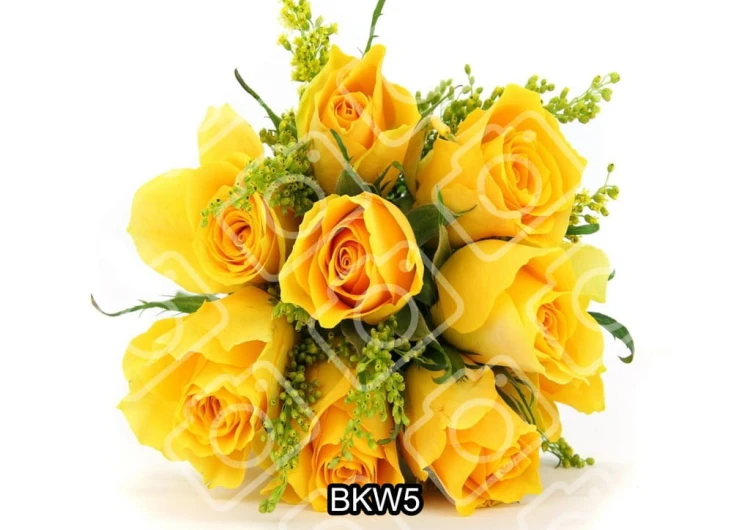 b97062654f8d258fa5f7ecc24128899f