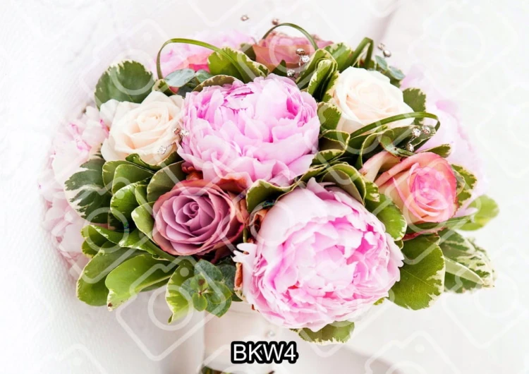 c187983061d7da70f47075041961fbf1