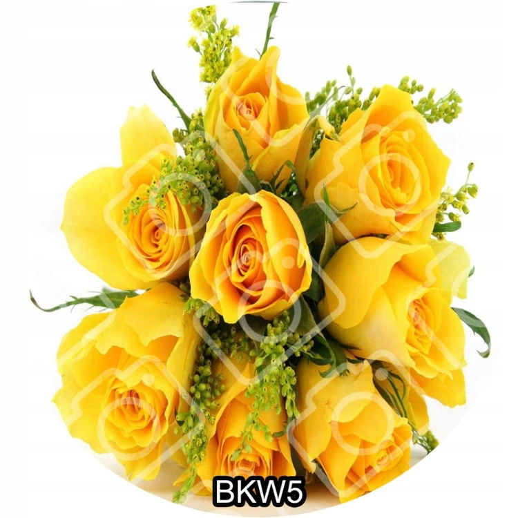7c473c2cff7f9ee2eaa6f032cbb45e0d