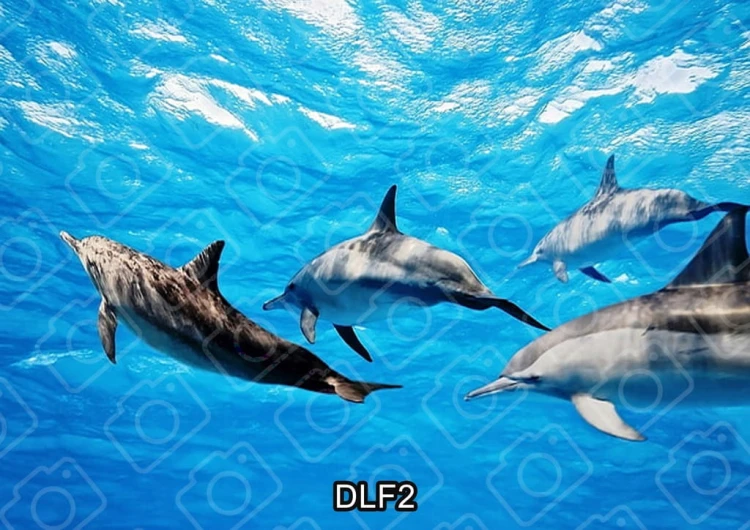 9f06dfa2671afa3f58a231402e655843