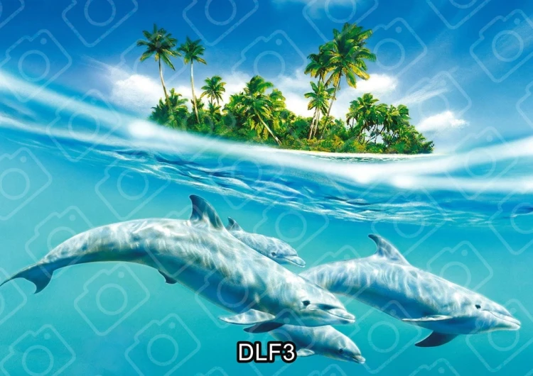 81f413250610015c613d3381299cd968