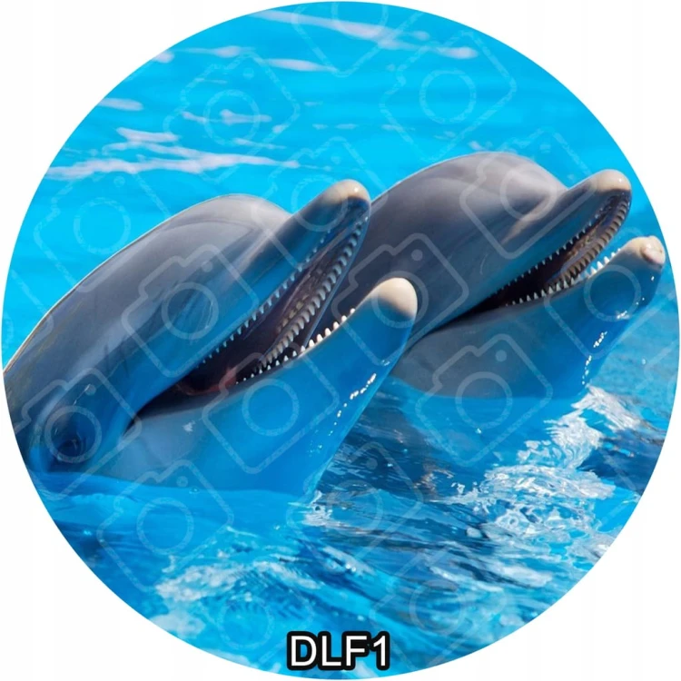 c7250920310d225eefb5cfb9b1dfa3d7