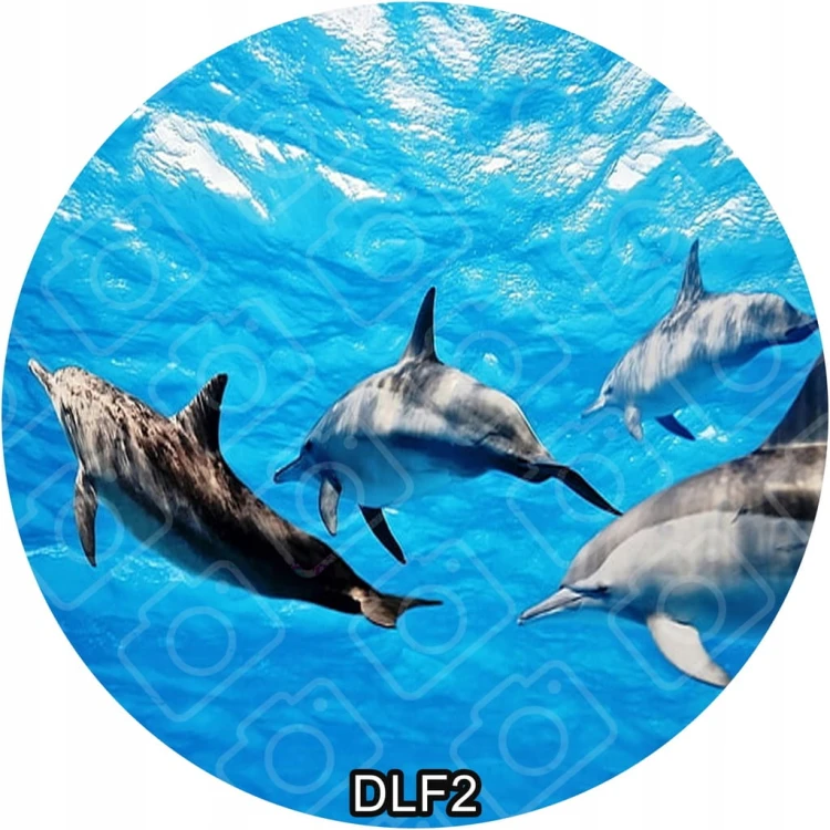 f57e7ae5e990cc7fe1e59972b09c8cfe