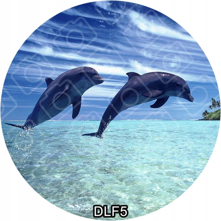 d66fff6f1339b914f7279e995fd09ad3