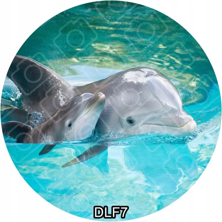 ccd12a067ecee54d3764e4b8e002cfad