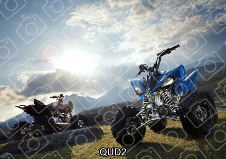 1ad7cd8402a58b255f2ee462dd6d1cdf
