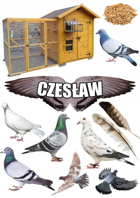 34f1c7d9c72754cd077be47f059e2232
