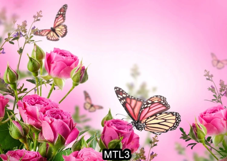 a5c2165f810ad0e37c0bdeb8aadf126e