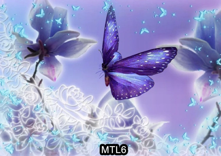 b1160fdaa38beec25b7402fbcb72ed22