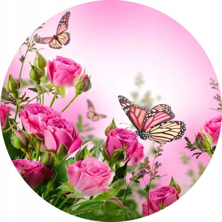 37be96c8da766d9d3568dd9327794bbc