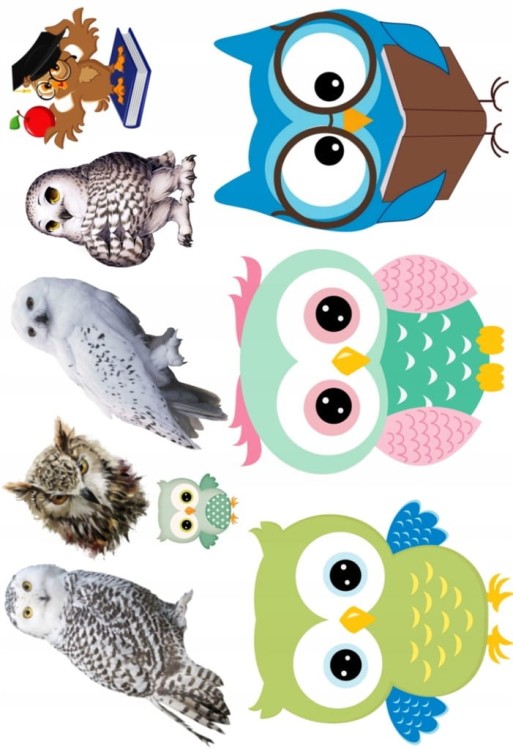 8acec3ecc49781690421e231caddac49