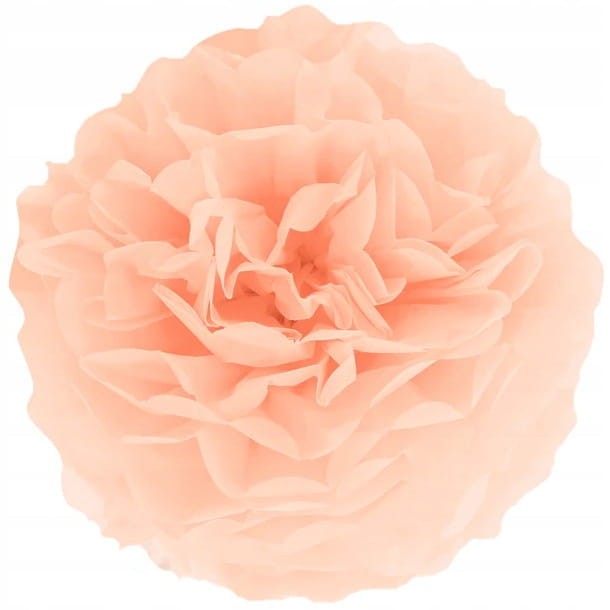 b757872a3f6f3fe84633f13b0424b781