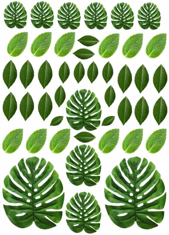 a86d093924664da0b739b70c9ac0517b