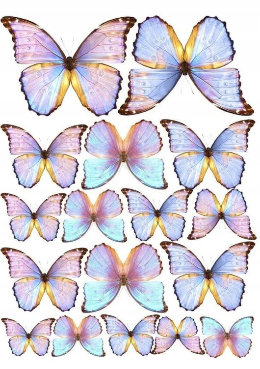 68ac20c270d2049c06eafaf10f3422f0