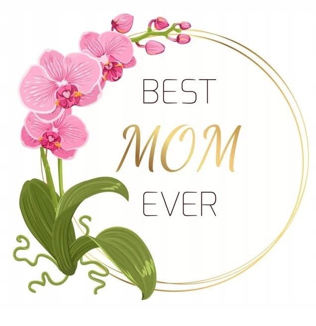 737a5836126469afd44695bee8381660