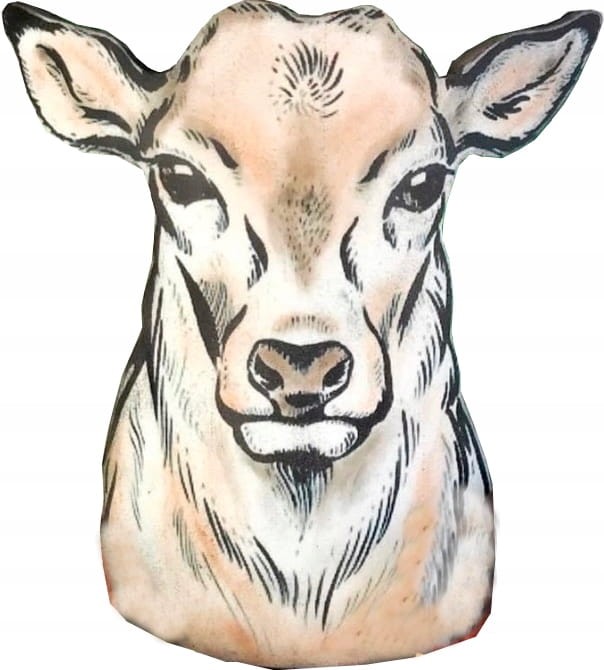 24a1c8c0f062cebf6388ac583e5415f4