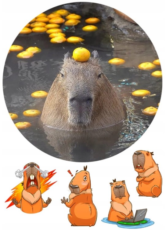 d2072a47bac839591e577e3b8dc82e2b