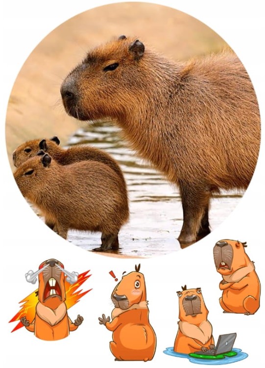 e35492d917e18e9b2e415429a6e5f7d6