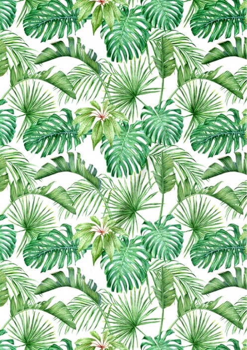 89315ed82e83ac603ebb4d086c5dca69