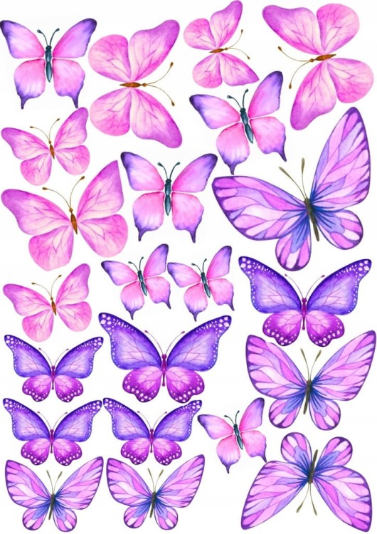 5b234f863e8c6e5febdfb40743f25747