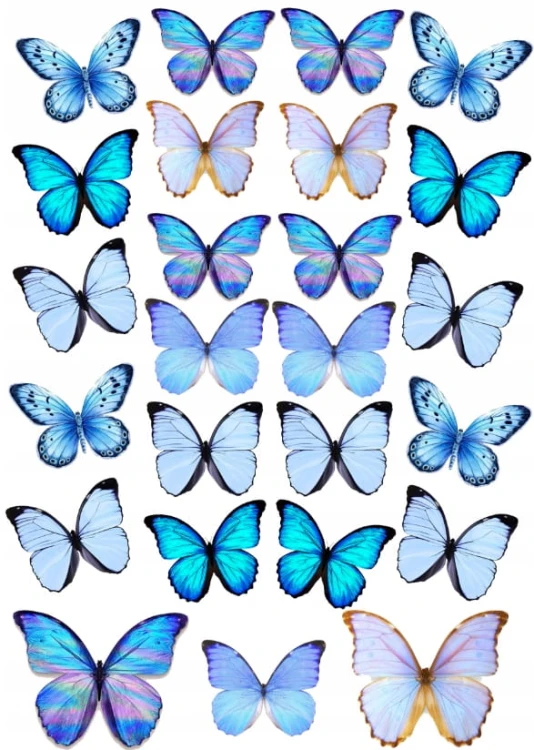 1e06aded43cf82a7bcaa1be7e3c79af9