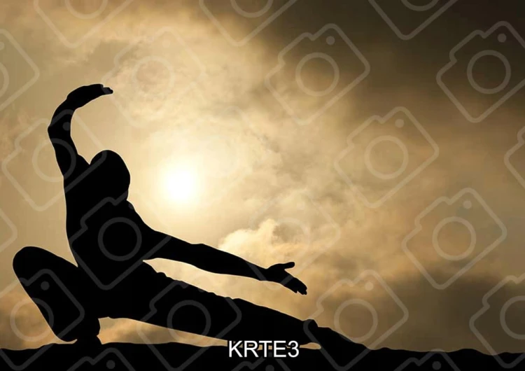e35f36e52d94924c7865ec0a3dc962ca