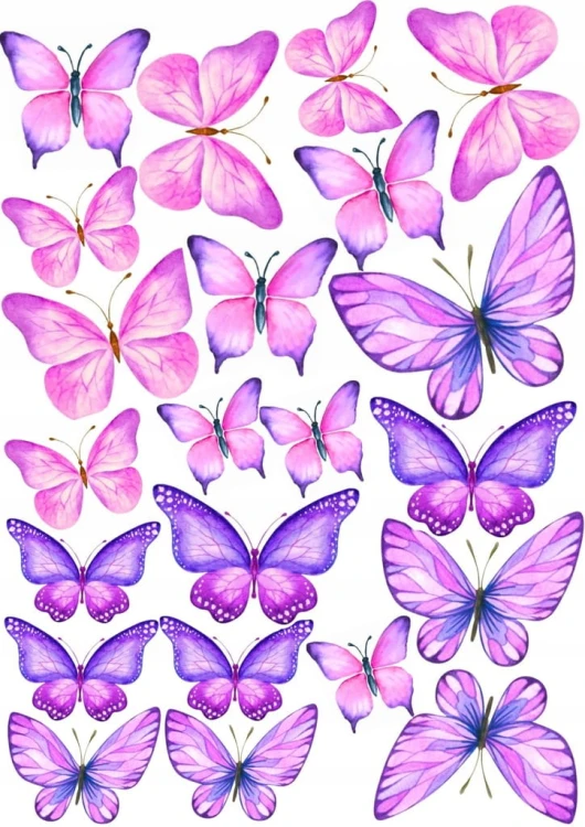 5b234f863e8c6e5febdfb40743f25747